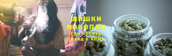 прущие грибы Грязовец