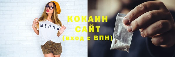 прущие грибы Грязовец