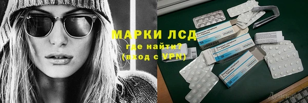 прущие грибы Грязовец