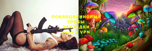 ПСИЛОЦИБИНОВЫЕ ГРИБЫ Абинск
