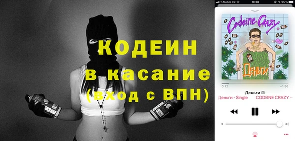 прущие грибы Грязовец