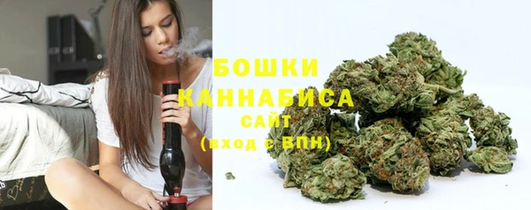 прущие грибы Губаха