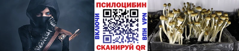 Псилоцибиновые грибы Psilocybe Касли
