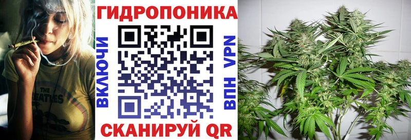 Шишки марихуана THC 21%  купить  цена  Касли 